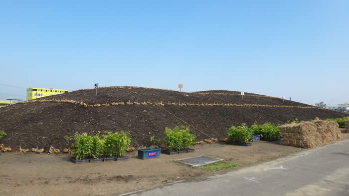植樹前の丘の写真