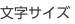 文字サイズ