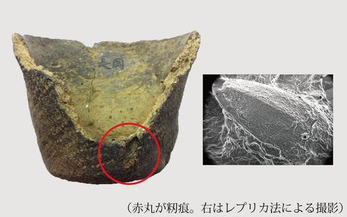 モミ痕のついた弥生土器