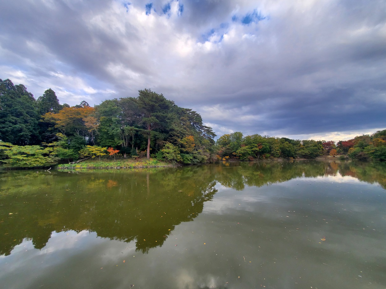 朝日山公園荒井堤