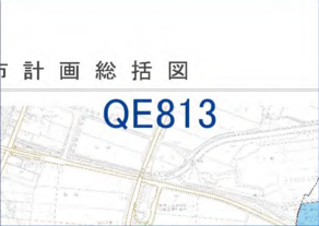 prevqe813