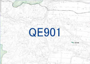 prevqe901