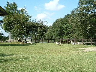 朝日山公園の写真