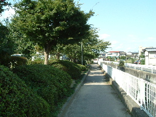 丸沼緑道の写真