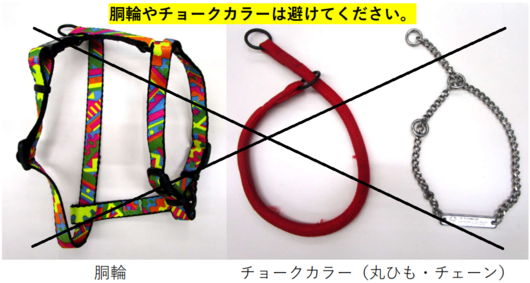 胴輪とチョークカラー